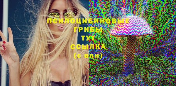 гидропоника Абаза