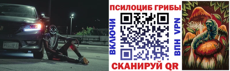 блэк спрут вход  дарнет шоп  Орск  Галлюциногенные грибы Cubensis 